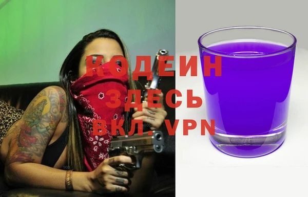 крисы Каменногорск