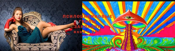 прущий лед Волосово