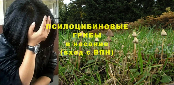 MESCALINE Аркадак