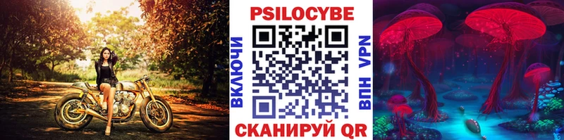 Псилоцибиновые грибы Cubensis  Обоянь 